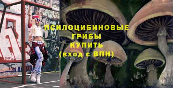 винт Покров