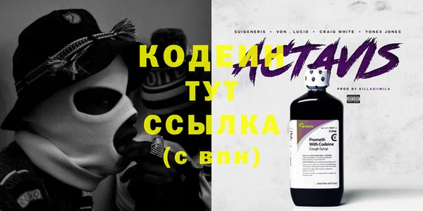 шишки Белокуриха