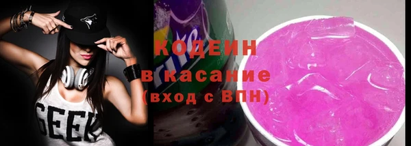 шишки Белокуриха