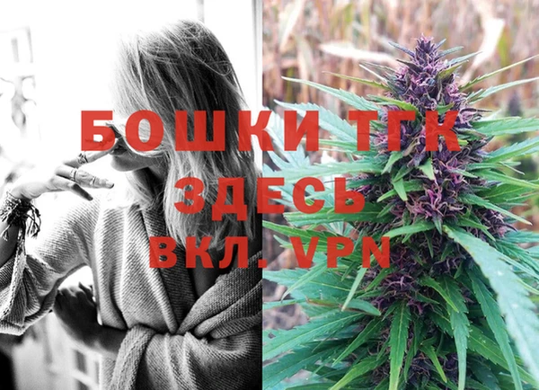 эйфоретик Белоозёрский