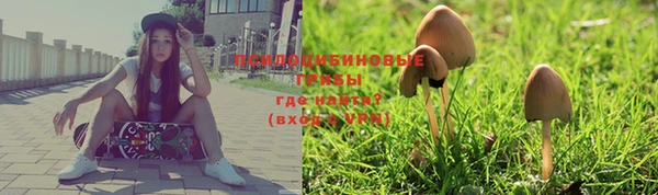 шишки Белокуриха