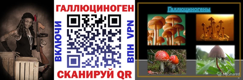 что такое   Шелехов  Псилоцибиновые грибы мицелий 